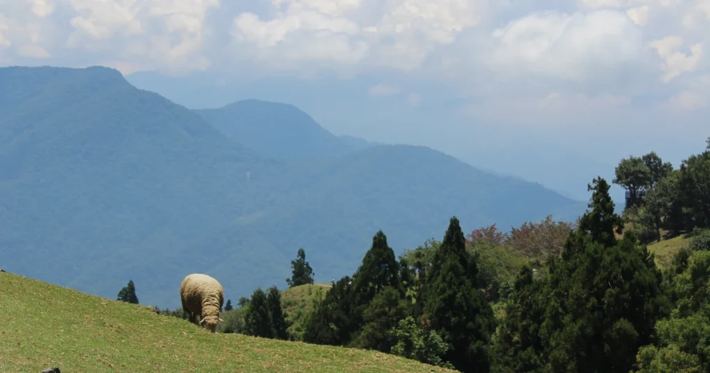 Cingjing Farm Thumbnail 1024x538